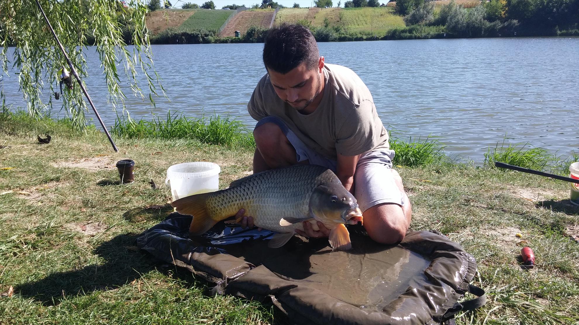 MV2 1 sept. 2015 - 201509011542511.jpg